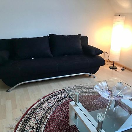 Apartmán Gemuetliche 2 Zimmer Fewo Parkplatz Wlan Breisach Exteriér fotografie